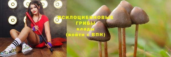 мяу мяу мука Остров